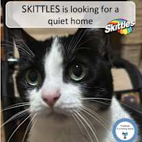 Thumbnail photo of Skittles #1