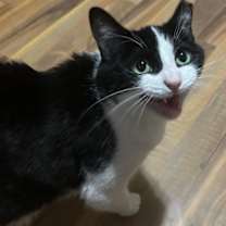 Thumbnail photo of Skittles #3