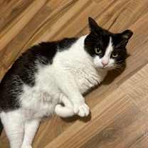 Thumbnail photo of Skittles #4