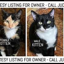 Thumbnail photo of Calico & Tuxedo-COURTESY LIST #1