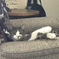 Thumbnail photo of Marilyn-happy girl #2