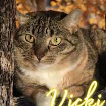Thumbnail photo of Vicki #1