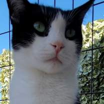 Thumbnail photo of 6502 Luke #2