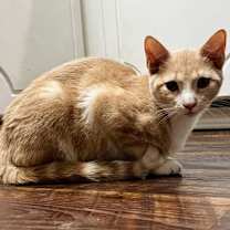 Thumbnail photo of Gerri #1