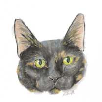 Thumbnail photo of Midnight #2