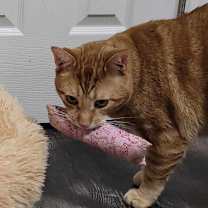 Thumbnail photo of Journey #3