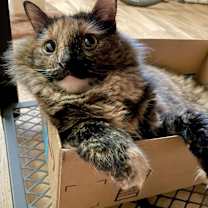 Thumbnail photo of Minda #1