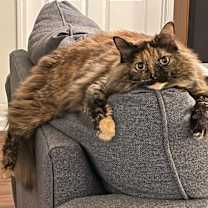 Thumbnail photo of Minda #3