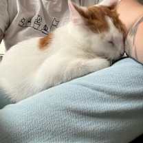 Thumbnail photo of Caramel #3