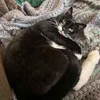 Thumbnail photo of Saba #1