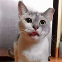 Thumbnail photo of Butter #1