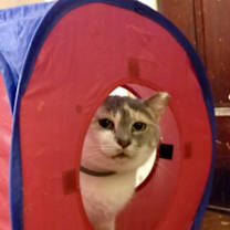 Thumbnail photo of Butter #2