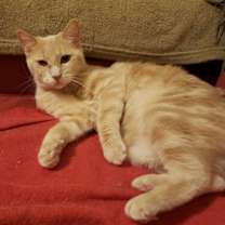 Thumbnail photo of Charlotte #4