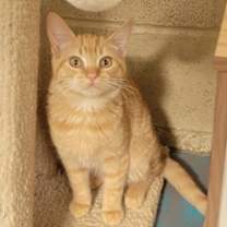 Thumbnail photo of Lilly #1