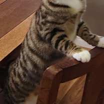 Thumbnail photo of Betty #2