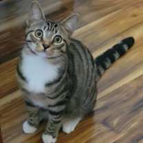 Thumbnail photo of Betty #3