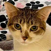 Thumbnail photo of Fiona #1