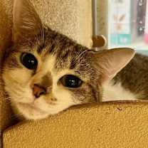 Thumbnail photo of Fiona #2