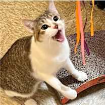 Thumbnail photo of Fiona #3