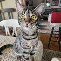 Thumbnail photo of Reggie #1
