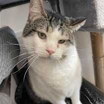Thumbnail photo of Buddy #1