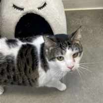 Thumbnail photo of Buddy #2