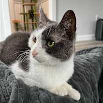 Thumbnail photo of Abbey #1