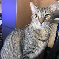 Thumbnail photo of KIT #2