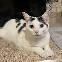 Thumbnail photo of Sugar #1