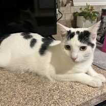 Thumbnail photo of Sugar #2