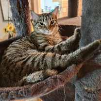 Thumbnail photo of Vita #3