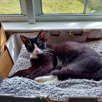 Thumbnail photo of Natasha #3