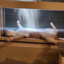 Thumbnail photo of Mia #1