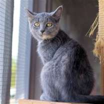 Thumbnail photo of Elle #4