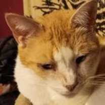 Thumbnail photo of Dilly #1