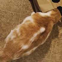 Thumbnail photo of Dilly #4