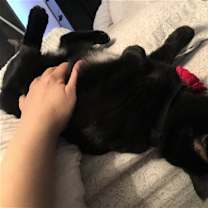 Thumbnail photo of Sissi #4
