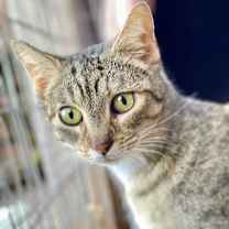 Thumbnail photo of Cassie #2