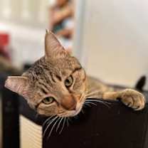 Thumbnail photo of Lucky Larry #2