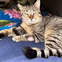 Thumbnail photo of Lucky Larry #3