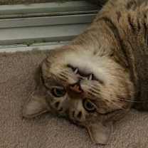 Thumbnail photo of Lucky Larry #4
