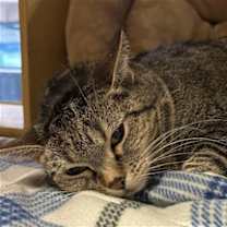 Thumbnail photo of Mary Jane #2