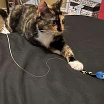 Thumbnail photo of Peaches #3