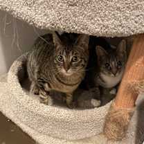 Thumbnail photo of Lake (KL) #4