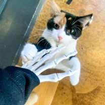 Thumbnail photo of Audra #2