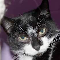 Thumbnail photo of Lil Bro #1