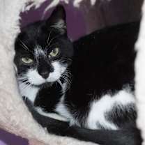 Thumbnail photo of Lil Bro #2