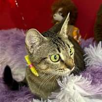 Thumbnail photo of JAMILLY #2