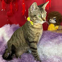 Thumbnail photo of JAMILLY #3