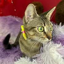 Thumbnail photo of JAMILLY #4